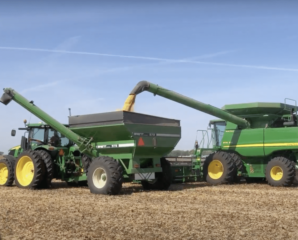 corn harvest