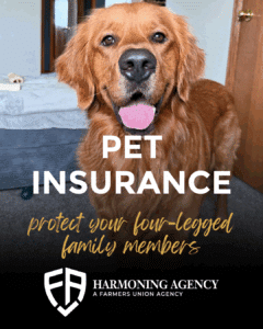 September is Pet Insurance Month: Why Coverage Matters for Your Pet