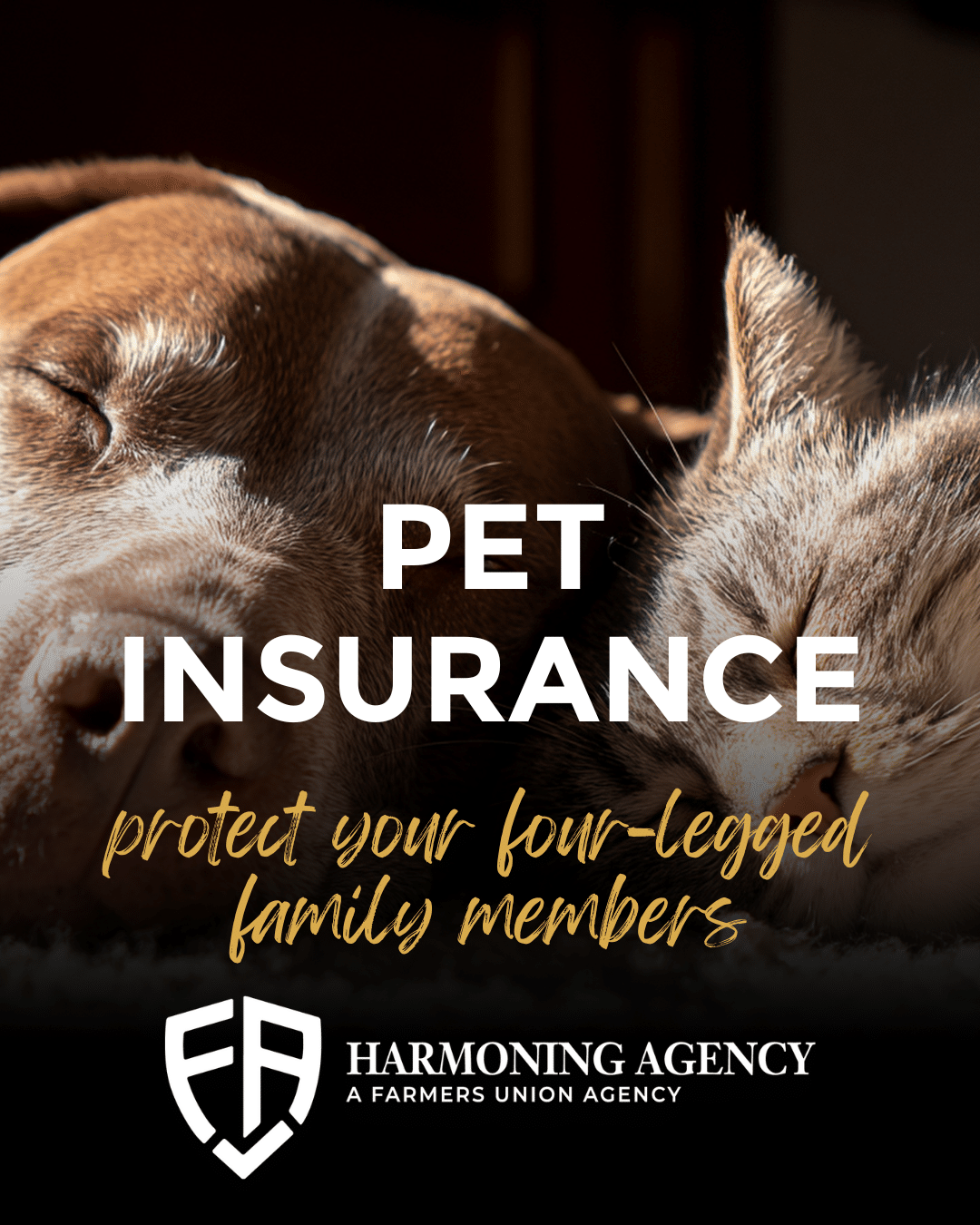 Pet Insurance Month