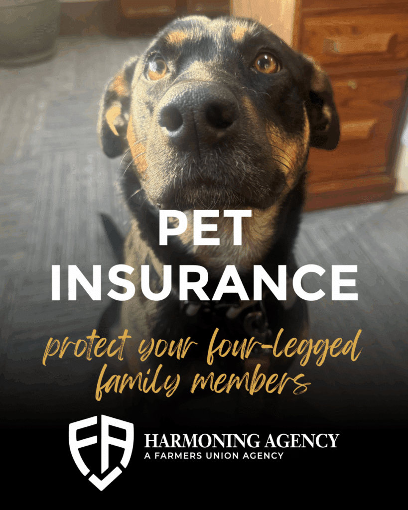 Pet Insurance