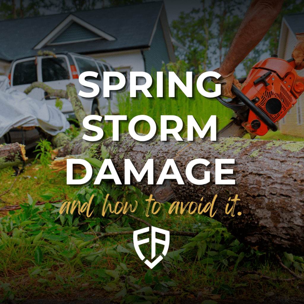 Spring Storm Damage & how to avoid it