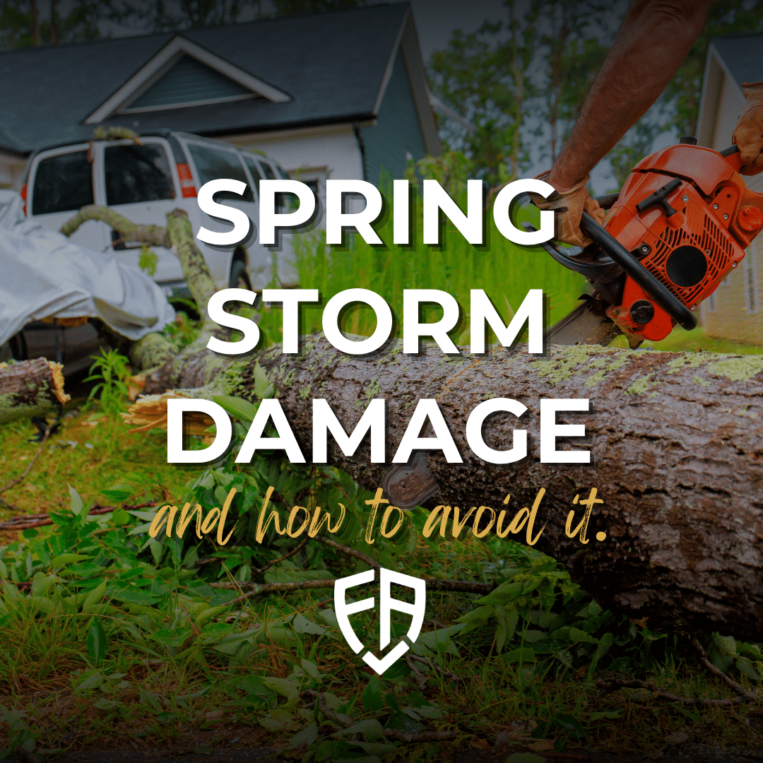 Spring Storm Damage & how to avoid it