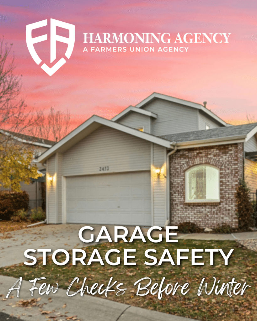 Garage Storage Safety